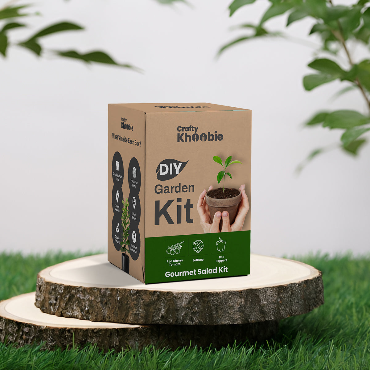 3 in 1 Gourmet Salad Kit | DIY Kit of Vegetable Seeds for Home Garden |  – Bell Peppers, Lettuce & Red Cherry Tomato Plant Seeds