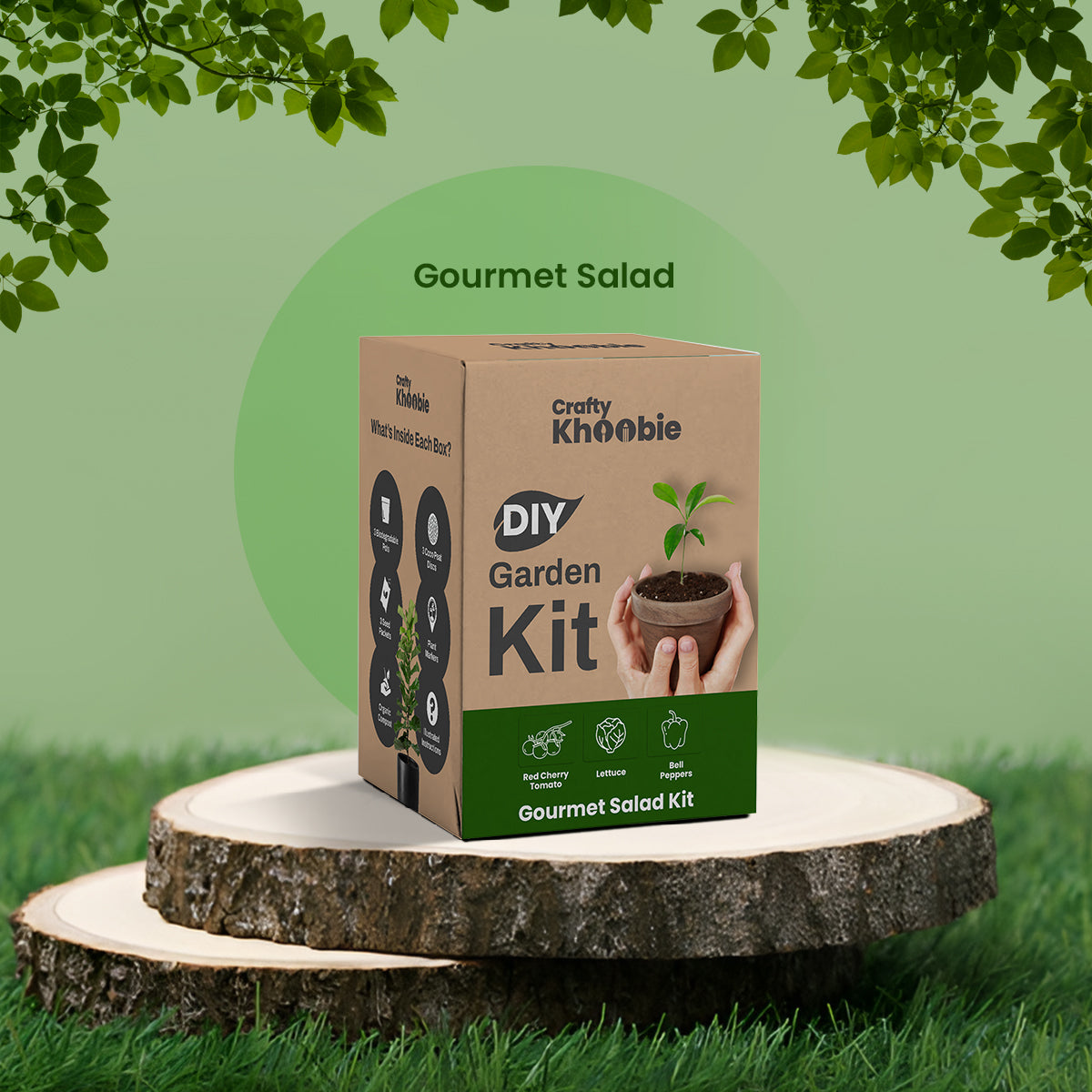 3 in 1 Gourmet Salad Kit | DIY Kit of Vegetable Seeds for Home Garden |  – Bell Peppers, Lettuce & Red Cherry Tomato Plant Seeds